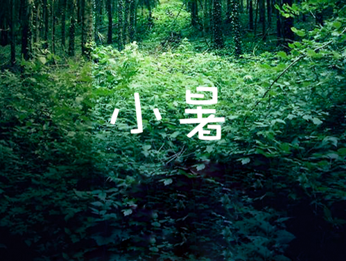 小暑 | 葡萄架下正阴凉